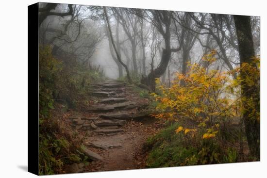 Stone Steps-Danny Head-Stretched Canvas