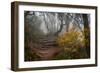 Stone Steps-Danny Head-Framed Photographic Print