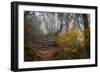 Stone Steps-Danny Head-Framed Photographic Print