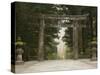 Stone Torii, Tosho-Gu Shrine, Nikko, Central Honshu, Japan-Schlenker Jochen-Stretched Canvas