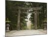 Stone Torii, Tosho-Gu Shrine, Nikko, Central Honshu, Japan-Schlenker Jochen-Mounted Photographic Print