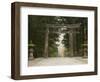 Stone Torii, Tosho-Gu Shrine, Nikko, Central Honshu, Japan-Schlenker Jochen-Framed Photographic Print