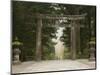 Stone Torii, Tosho-Gu Shrine, Nikko, Central Honshu, Japan-Schlenker Jochen-Mounted Photographic Print