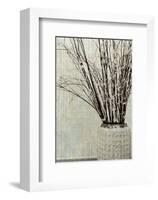 Stone Vase II-Mali Nave-Framed Art Print