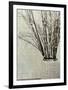 Stone Vase II-Mali Nave-Framed Giclee Print