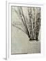 Stone Vase II-Mali Nave-Framed Giclee Print