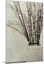 Stone Vase II-Mali Nave-Mounted Giclee Print
