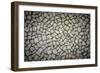 Stone Walk-null-Framed Photographic Print