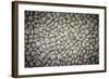 Stone Walk-null-Framed Photographic Print