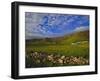 Stone Wall and Belnn Bhuldhe, Cleadale, Isle of Eigg, Inner Hebrides, Scotland, UK, Europe-Jean Brooks-Framed Photographic Print