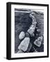 Stone Wall and Cairns, the Arctic Circle, Norway-Walter Bibikow-Framed Photographic Print