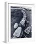 Stone Wall and Cairns, the Arctic Circle, Norway-Walter Bibikow-Framed Photographic Print