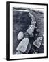 Stone Wall and Cairns, the Arctic Circle, Norway-Walter Bibikow-Framed Photographic Print