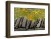 Stone wall and coreopsis flowers, The Parklands of Floyds Fork, Louisville, Kentucky-Adam Jones-Framed Photographic Print