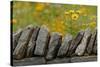 Stone wall and coreopsis flowers, The Parklands of Floyds Fork, Louisville, Kentucky-Adam Jones-Stretched Canvas