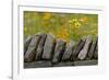 Stone wall and coreopsis flowers, The Parklands of Floyds Fork, Louisville, Kentucky-Adam Jones-Framed Photographic Print