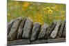 Stone wall and coreopsis flowers, The Parklands of Floyds Fork, Louisville, Kentucky-Adam Jones-Mounted Photographic Print