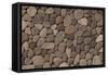 Stone Wall Detail, Turtle Island, Yasawa Islands, Fiji-Roddy Scheer-Framed Stretched Canvas