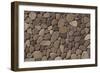 Stone Wall Detail, Turtle Island, Yasawa Islands, Fiji-Roddy Scheer-Framed Photographic Print