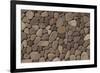 Stone Wall Detail, Turtle Island, Yasawa Islands, Fiji-Roddy Scheer-Framed Photographic Print