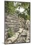 Stone wall in downtown Wichita, Kansas-Michael Scheufler-Mounted Photographic Print