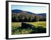 Stone Wall in the Green Mountains, Vermont, USA-Jerry & Marcy Monkman-Framed Photographic Print