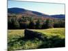 Stone Wall in the Green Mountains, Vermont, USA-Jerry & Marcy Monkman-Mounted Photographic Print