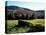 Stone Wall in the Green Mountains, Vermont, USA-Jerry & Marcy Monkman-Stretched Canvas