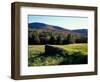 Stone Wall in the Green Mountains, Vermont, USA-Jerry & Marcy Monkman-Framed Photographic Print