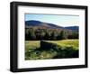 Stone Wall in the Green Mountains, Vermont, USA-Jerry & Marcy Monkman-Framed Photographic Print