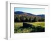 Stone Wall in the Green Mountains, Vermont, USA-Jerry & Marcy Monkman-Framed Photographic Print