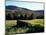 Stone Wall in the Green Mountains, Vermont, USA-Jerry & Marcy Monkman-Mounted Photographic Print