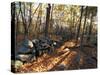 Stone Wall, Nature Conservancy Land Along Crommett Creek, New Hampshire, USA-Jerry & Marcy Monkman-Stretched Canvas