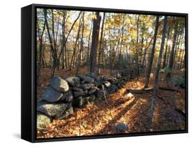 Stone Wall, Nature Conservancy Land Along Crommett Creek, New Hampshire, USA-Jerry & Marcy Monkman-Framed Stretched Canvas