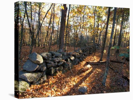 Stone Wall, Nature Conservancy Land Along Crommett Creek, New Hampshire, USA-Jerry & Marcy Monkman-Stretched Canvas