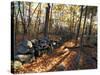 Stone Wall, Nature Conservancy Land Along Crommett Creek, New Hampshire, USA-Jerry & Marcy Monkman-Stretched Canvas