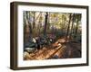 Stone Wall, Nature Conservancy Land Along Crommett Creek, New Hampshire, USA-Jerry & Marcy Monkman-Framed Premium Photographic Print