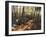 Stone Wall, Nature Conservancy Land Along Crommett Creek, New Hampshire, USA-Jerry & Marcy Monkman-Framed Premium Photographic Print