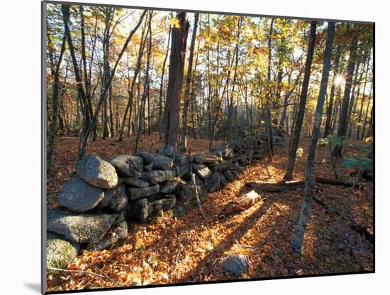 Stone Wall, Nature Conservancy Land Along Crommett Creek, New Hampshire, USA-Jerry & Marcy Monkman-Mounted Premium Photographic Print