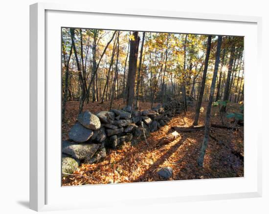 Stone Wall, Nature Conservancy Land Along Crommett Creek, New Hampshire, USA-Jerry & Marcy Monkman-Framed Photographic Print