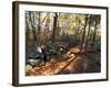 Stone Wall, Nature Conservancy Land Along Crommett Creek, New Hampshire, USA-Jerry & Marcy Monkman-Framed Photographic Print