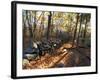 Stone Wall, Nature Conservancy Land Along Crommett Creek, New Hampshire, USA-Jerry & Marcy Monkman-Framed Photographic Print