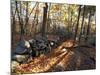 Stone Wall, Nature Conservancy Land Along Crommett Creek, New Hampshire, USA-Jerry & Marcy Monkman-Mounted Photographic Print