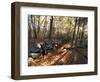 Stone Wall, Nature Conservancy Land Along Crommett Creek, New Hampshire, USA-Jerry & Marcy Monkman-Framed Photographic Print