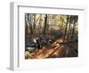 Stone Wall, Nature Conservancy Land Along Crommett Creek, New Hampshire, USA-Jerry & Marcy Monkman-Framed Photographic Print