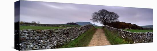 Stone Walls Along a Path, Yorkshire Dales, England, United Kingdom-null-Stretched Canvas