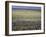 Stone Walls on Inis Mor (Inishmore), Aran Islands, Republic of Ireland-Andrew Mcconnell-Framed Photographic Print