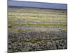 Stone Walls on Inis Mor (Inishmore), Aran Islands, Republic of Ireland-Andrew Mcconnell-Mounted Photographic Print