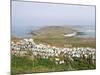 Stone Walls, Samson, Isles of Scilly, United Kingdom, Europe-null-Mounted Photographic Print