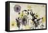 Stone Wash Poppies-Jace Grey-Framed Stretched Canvas